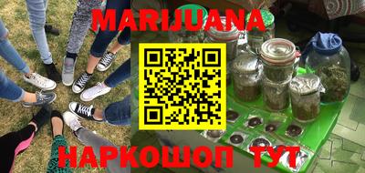 прущие грибы Балаково