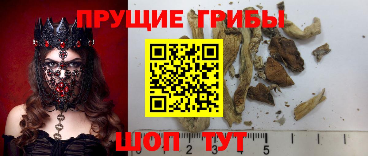 где купить наркоту  Вход с VPN  Псилоцибиновые грибы Magic Shrooms  Елабуга  Псилоцибиновые грибы мухоморы 